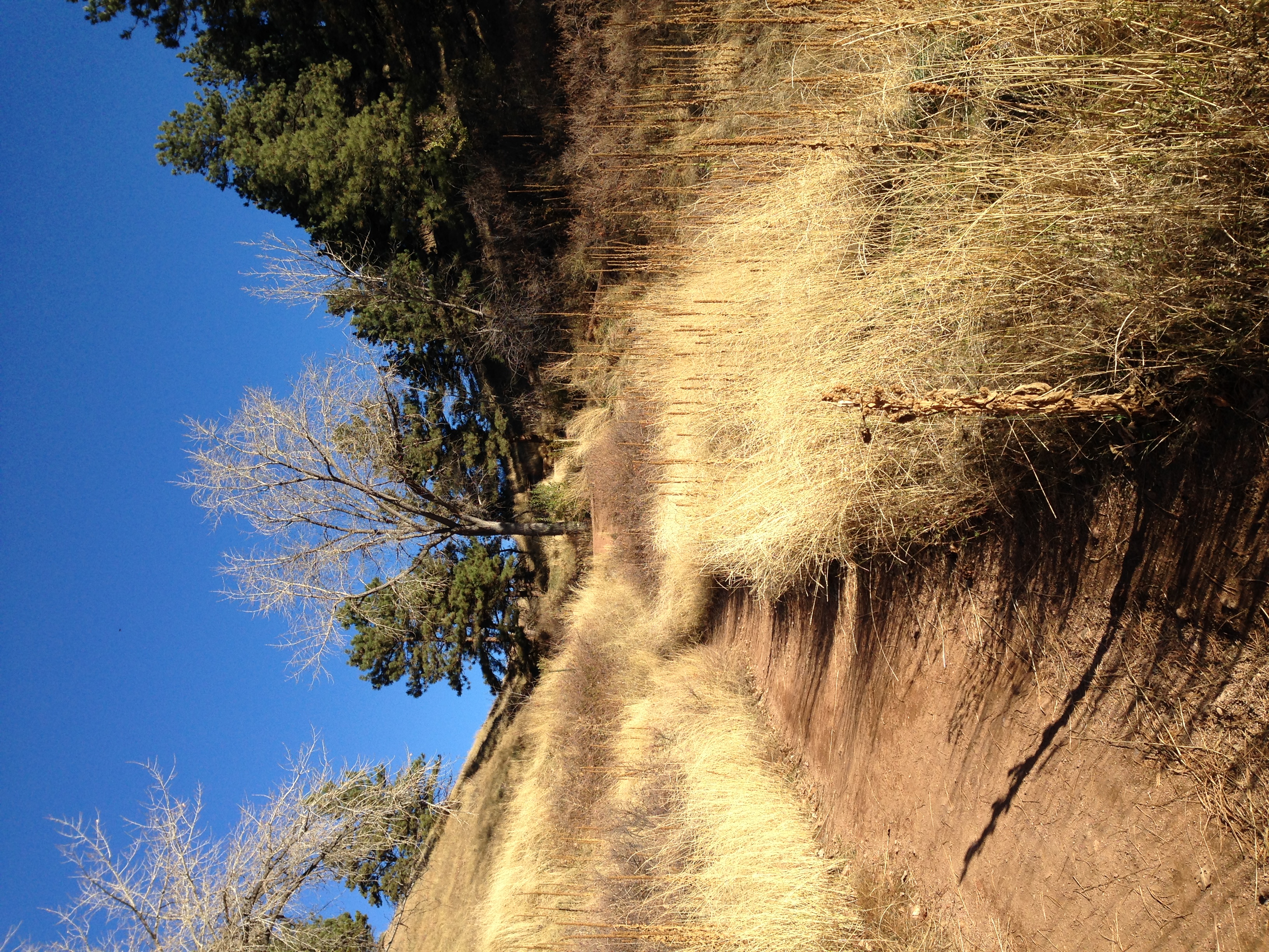 Cutting through near Red Rocks in Boulder, CO